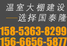 國(guó)泰隆聯(lián)系電話：158-5363-8299