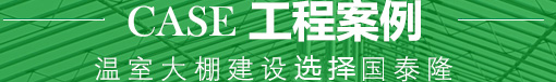 國(guó)泰隆工程案例