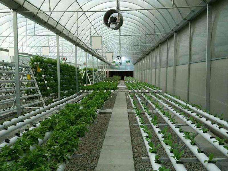 智能農業大棚
