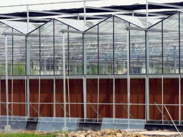 新型溫室大棚