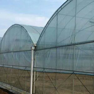 連棟大棚,用科技不斷升級