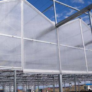 陽光板溫室的優勢有哪些?