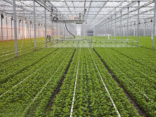 自動噴淋系統(tǒng)