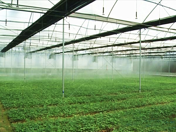 自動(dòng)噴淋系統(tǒng)