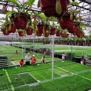 農(nóng)業(yè)將迎來(lái)發(fā)展黃金期，把握四大機(jī)遇大筆生財(cái)