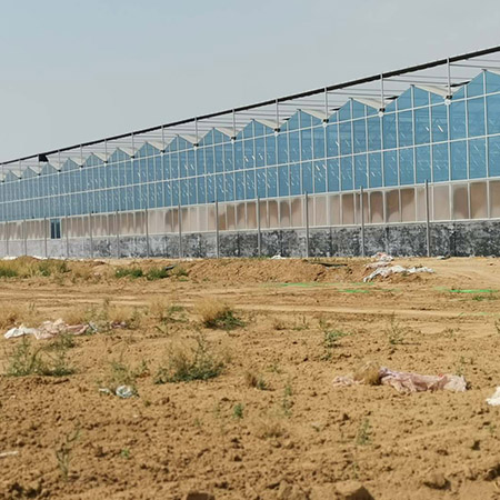 濰坊壽光紋絡溫室 (3).jpg