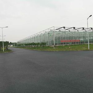 工程案例—湖北花博園交付使用